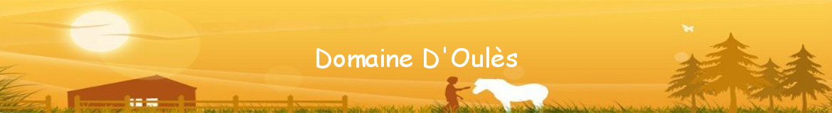 Domaine D'Oulès